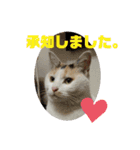 家のエリちゃん(改訂版)（個別スタンプ：10）