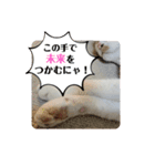 家のエリちゃん(改訂版)（個別スタンプ：13）