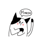 ねこやんといぬまる（個別スタンプ：13）