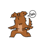 ねこやんといぬまる（個別スタンプ：16）