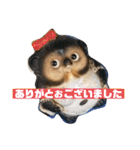ポメッツのちゃぽ君（個別スタンプ：18）