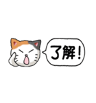 猫大好き！（省スペース）その1（個別スタンプ：27）