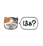 猫大好き！（省スペース）その1（個別スタンプ：31）