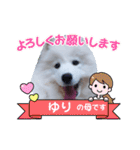 サモエドのゆりちゃん（個別スタンプ：5）
