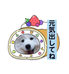 サモエドのゆりちゃん（個別スタンプ：29）