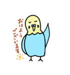 セキセイインコの太郎（個別スタンプ：1）