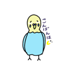 セキセイインコの太郎（個別スタンプ：3）