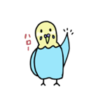 セキセイインコの太郎（個別スタンプ：4）