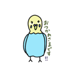 セキセイインコの太郎（個別スタンプ：5）