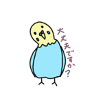 セキセイインコの太郎（個別スタンプ：6）