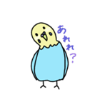 セキセイインコの太郎（個別スタンプ：8）