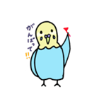 セキセイインコの太郎（個別スタンプ：12）