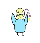 セキセイインコの太郎（個別スタンプ：13）