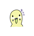 セキセイインコの太郎（個別スタンプ：21）