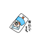 にんじんうさぎの生活（個別スタンプ：31）