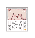 日常で使える犬スタンプฅ՞•ﻌ•՞ฅ"✨（個別スタンプ：15）