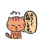 猫のにゃこむらさんの毎日スタンプ（個別スタンプ：37）