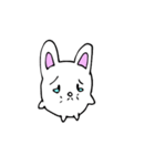 白玉ウサギスタンプ（個別スタンプ：4）