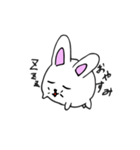白玉ウサギスタンプ（個別スタンプ：32）