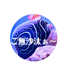 つぶやく海水魚オールスター（個別スタンプ：5）