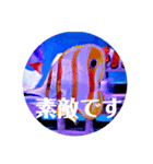 つぶやく海水魚オールスター（個別スタンプ：8）