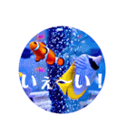つぶやく海水魚オールスター（個別スタンプ：15）