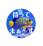 つぶやく海水魚オールスター（個別スタンプ：20）