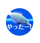 つぶやく海水魚オールスター（個別スタンプ：31）