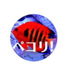 つぶやく海水魚オールスター（個別スタンプ：32）