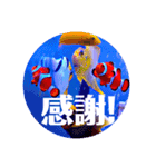 つぶやく海水魚オールスター（個別スタンプ：37）