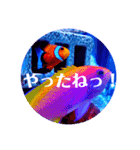 つぶやく海水魚オールスター（個別スタンプ：40）
