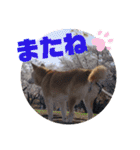 みんなと一緒 10（個別スタンプ：7）