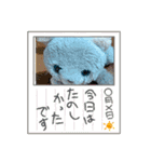 キャベポメちいスタエメシロヨーグスタンプ（個別スタンプ：13）