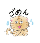 使える丸いねこスタンプ（個別スタンプ：5）