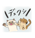 使える丸いねこスタンプ（個別スタンプ：13）