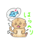 使える丸いねこスタンプ（個別スタンプ：14）