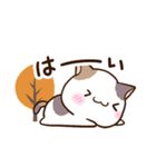 ゆるっと三毛ねこ（個別スタンプ：14）