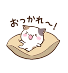 ゆるっと三毛ねこ（個別スタンプ：24）