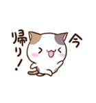 ゆるっと三毛ねこ（個別スタンプ：25）