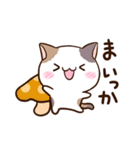 ゆるっと三毛ねこ（個別スタンプ：31）