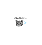 にゃんこ16（個別スタンプ：1）
