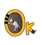 ねこのはちこ（個別スタンプ：5）