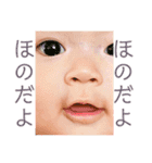 Honochan stamp ①（個別スタンプ：21）
