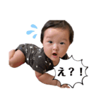 蓮蒼俊スタンプ（個別スタンプ：8）