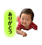 蓮蒼俊スタンプ（個別スタンプ：12）