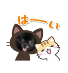 ポメラニアンのパンちゃん（個別スタンプ：5）