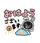 ポメラニアンのパンちゃん（個別スタンプ：13）