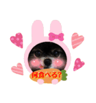 ポメラニアンのパンちゃん（個別スタンプ：21）
