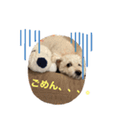 スノーウィー①（個別スタンプ：2）