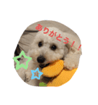 スノーウィー①（個別スタンプ：4）